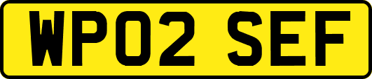 WP02SEF