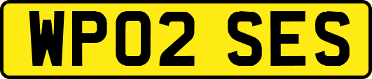 WP02SES