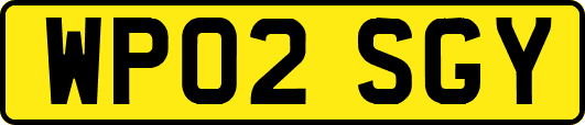 WP02SGY