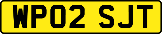 WP02SJT