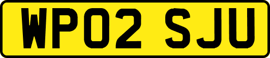 WP02SJU