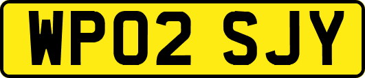 WP02SJY