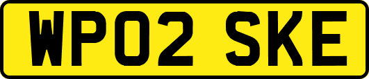 WP02SKE