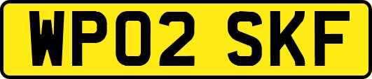 WP02SKF