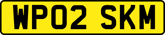 WP02SKM
