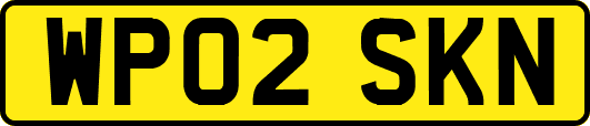 WP02SKN