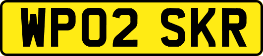 WP02SKR
