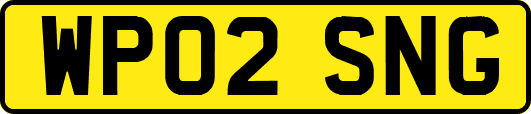 WP02SNG