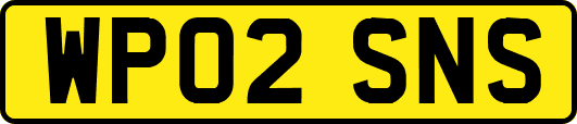 WP02SNS