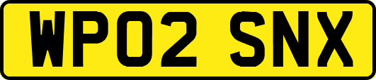 WP02SNX