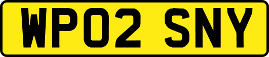 WP02SNY
