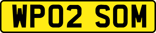 WP02SOM