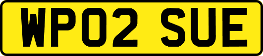 WP02SUE