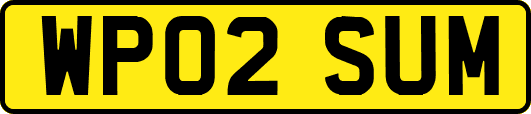 WP02SUM