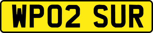 WP02SUR