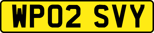 WP02SVY