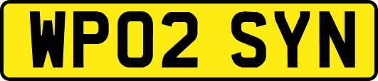 WP02SYN