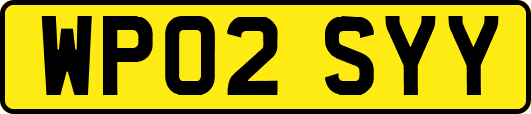 WP02SYY