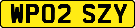 WP02SZY