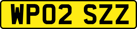 WP02SZZ