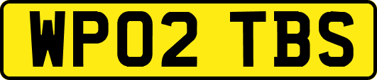 WP02TBS