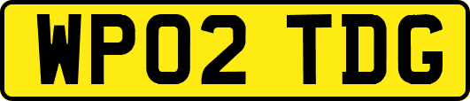 WP02TDG