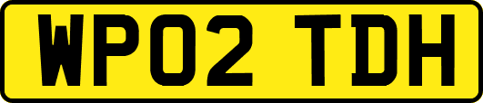WP02TDH
