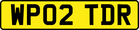 WP02TDR