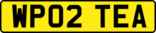 WP02TEA