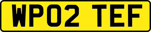 WP02TEF