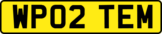 WP02TEM