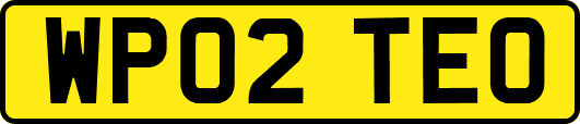 WP02TEO