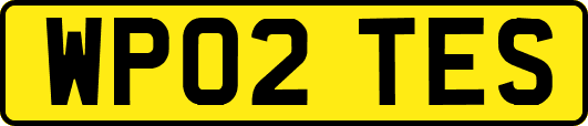 WP02TES