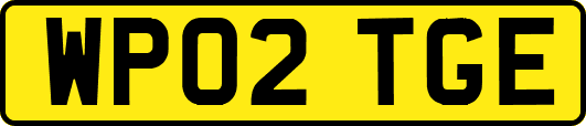 WP02TGE