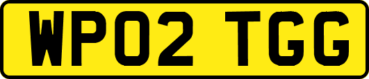WP02TGG