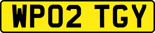 WP02TGY