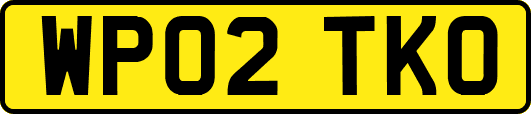 WP02TKO