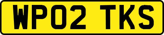 WP02TKS