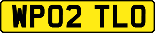WP02TLO