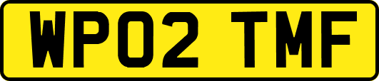 WP02TMF