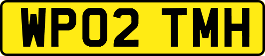 WP02TMH