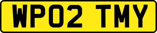WP02TMY