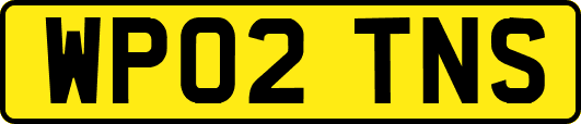WP02TNS