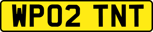 WP02TNT