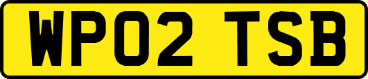 WP02TSB