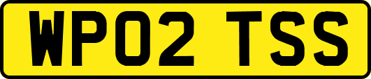 WP02TSS