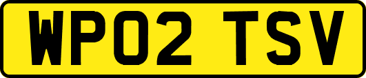 WP02TSV