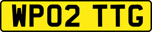 WP02TTG