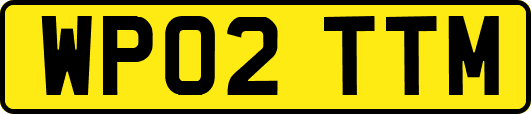WP02TTM