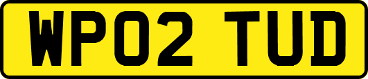 WP02TUD
